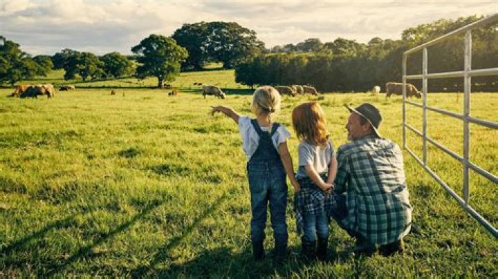 A Country Life