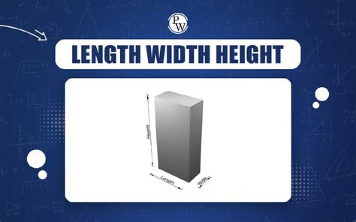 Dave Matthews Height: What is The Hight of Dave Matthews? - SarkariResult