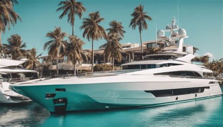 Dolphin Net Worth