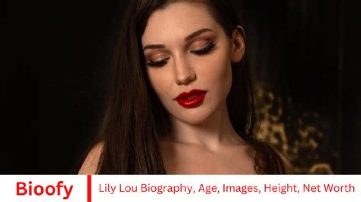 Lou DiMaggio Net Worth