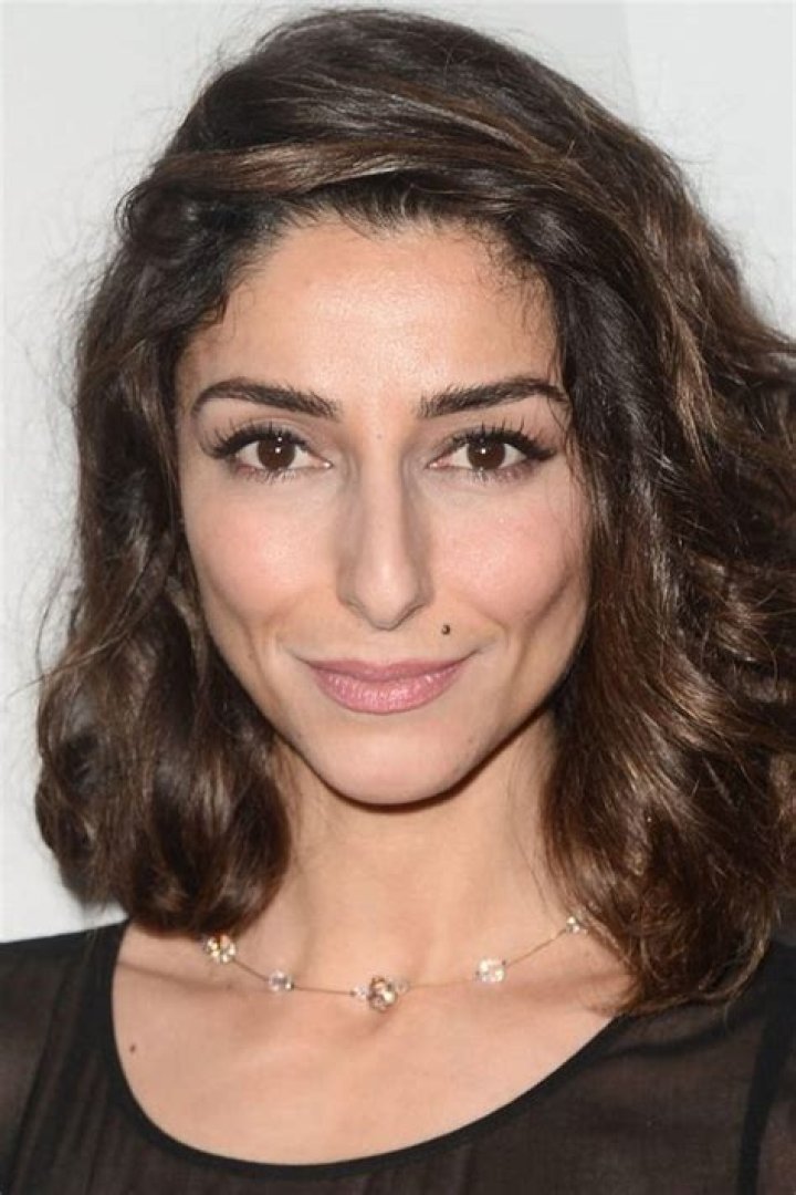 Necar Zadegan Net Worth