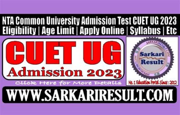 Onuralp Bitim Net Worth : Career, Family, Age, Income, Wiki, Bio, All You Need to Know - SarkariResult