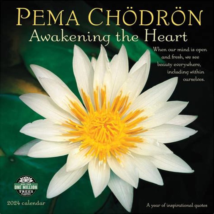 Pema Chodron Net Worth