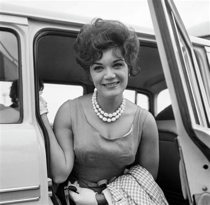 Sue Francis Net Worth