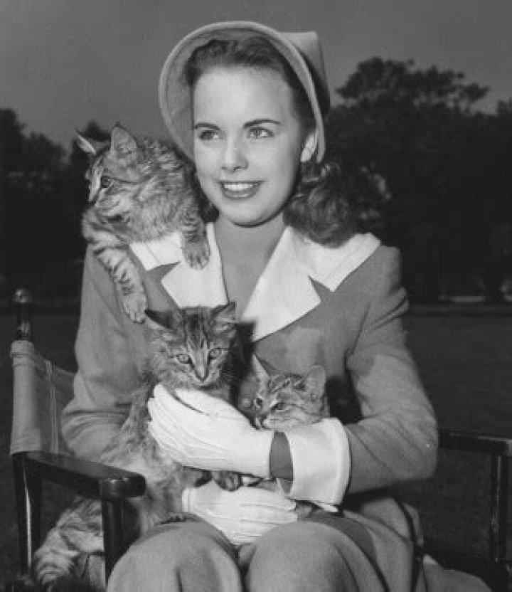 Terry Moore Net Worth