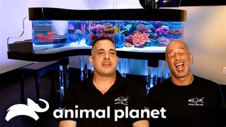 What Happened To The Show Tanked On Animal Planet? - SarkariResult