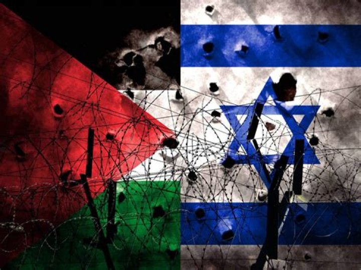 Who is Danielle Haas? Former Human Rights Watch editor criticizes the organization for a biased stance on the Israel-Palestine conflict - SarkariResult